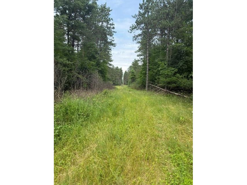 0 West Road Black River Falls WI 54615 - Halls Creek 1603057 image3