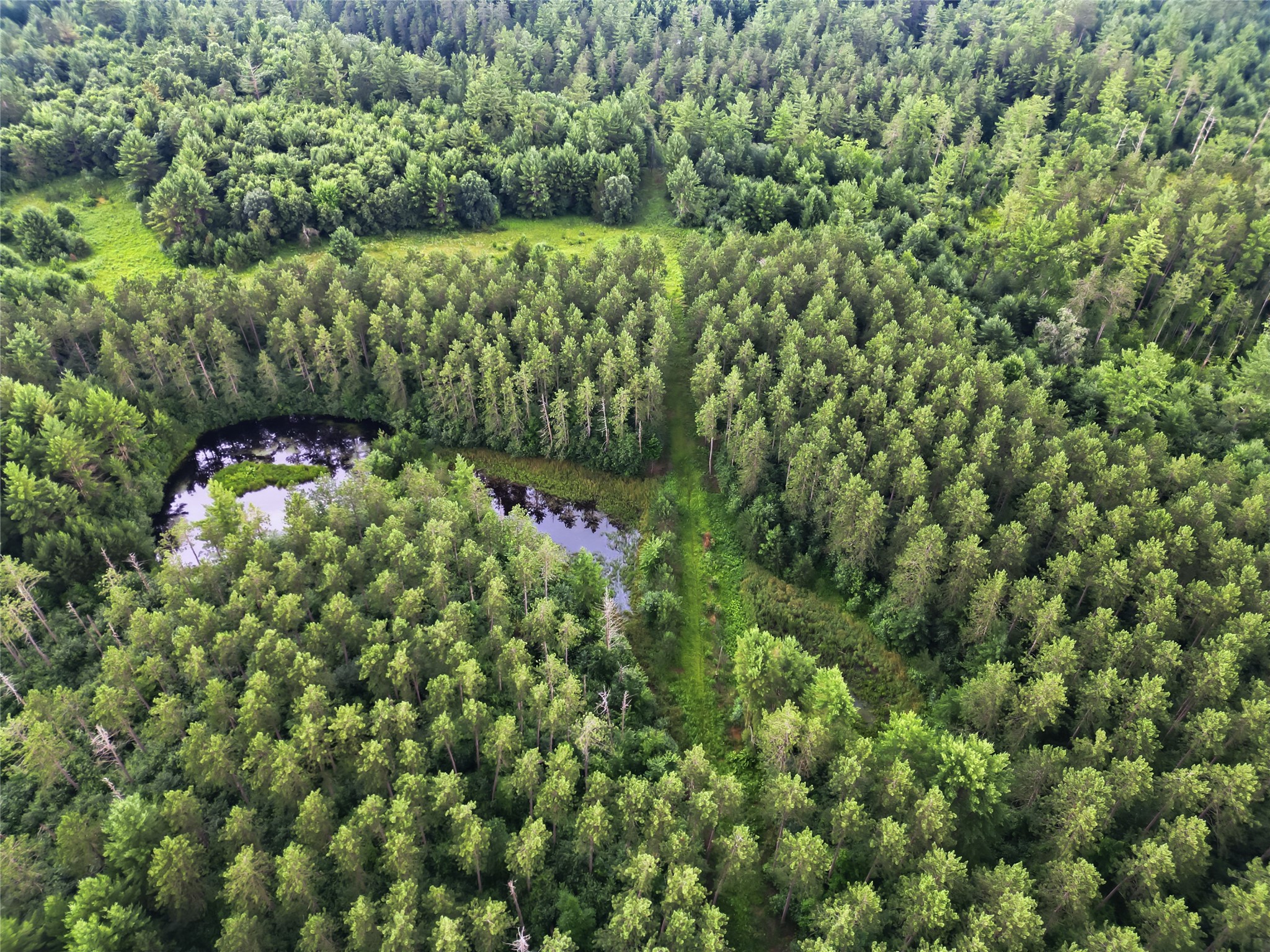 0 West Road Black River Falls WI 54615 - Halls Creek 1603057 image33