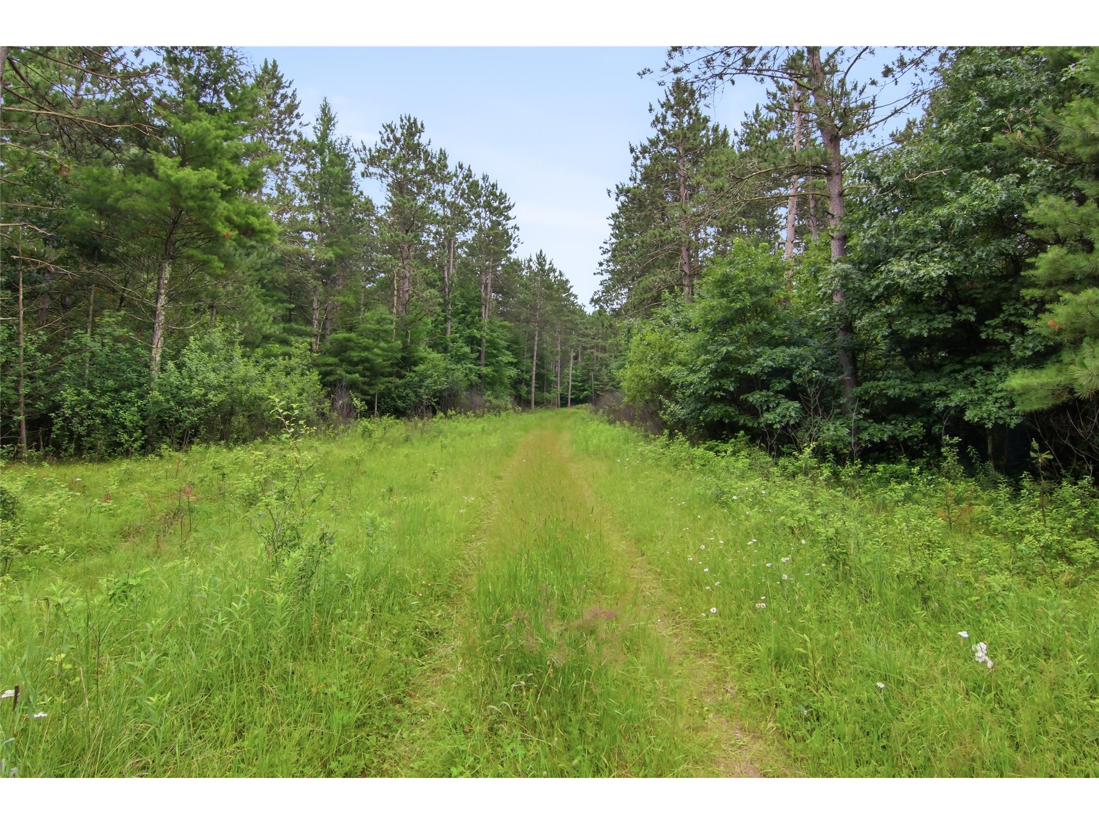 0 West Road Black River Falls WI 54615 - Halls Creek 1603057 image38