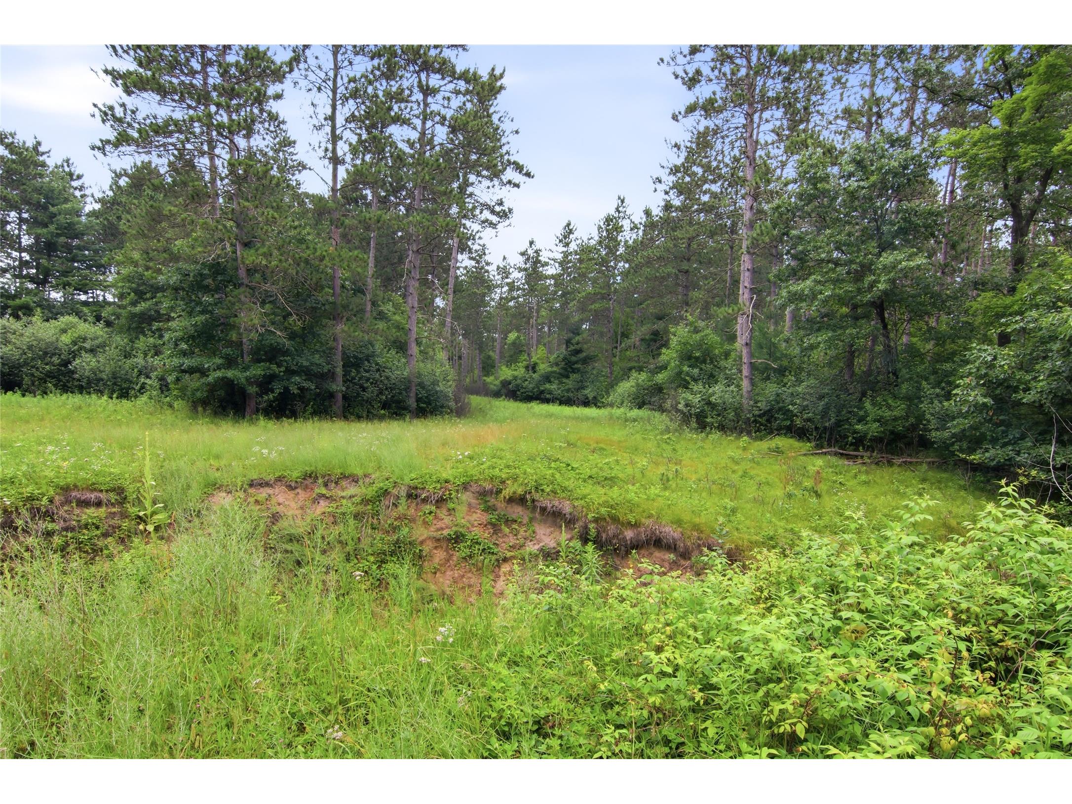 0 West Road Black River Falls WI 54615 - Halls Creek 1603057 image40