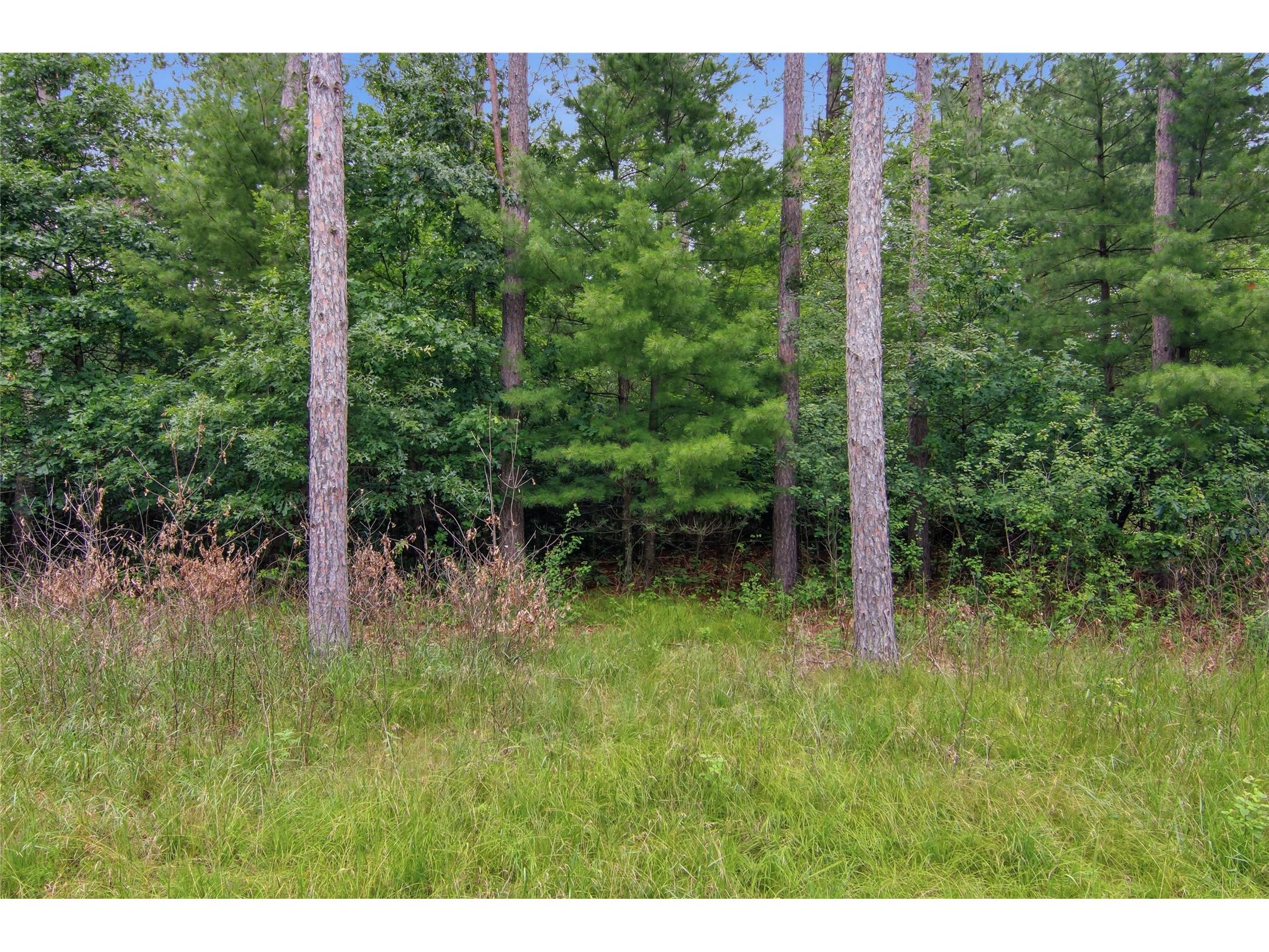 0 West Road Black River Falls WI 54615 - Halls Creek 1603057 image41