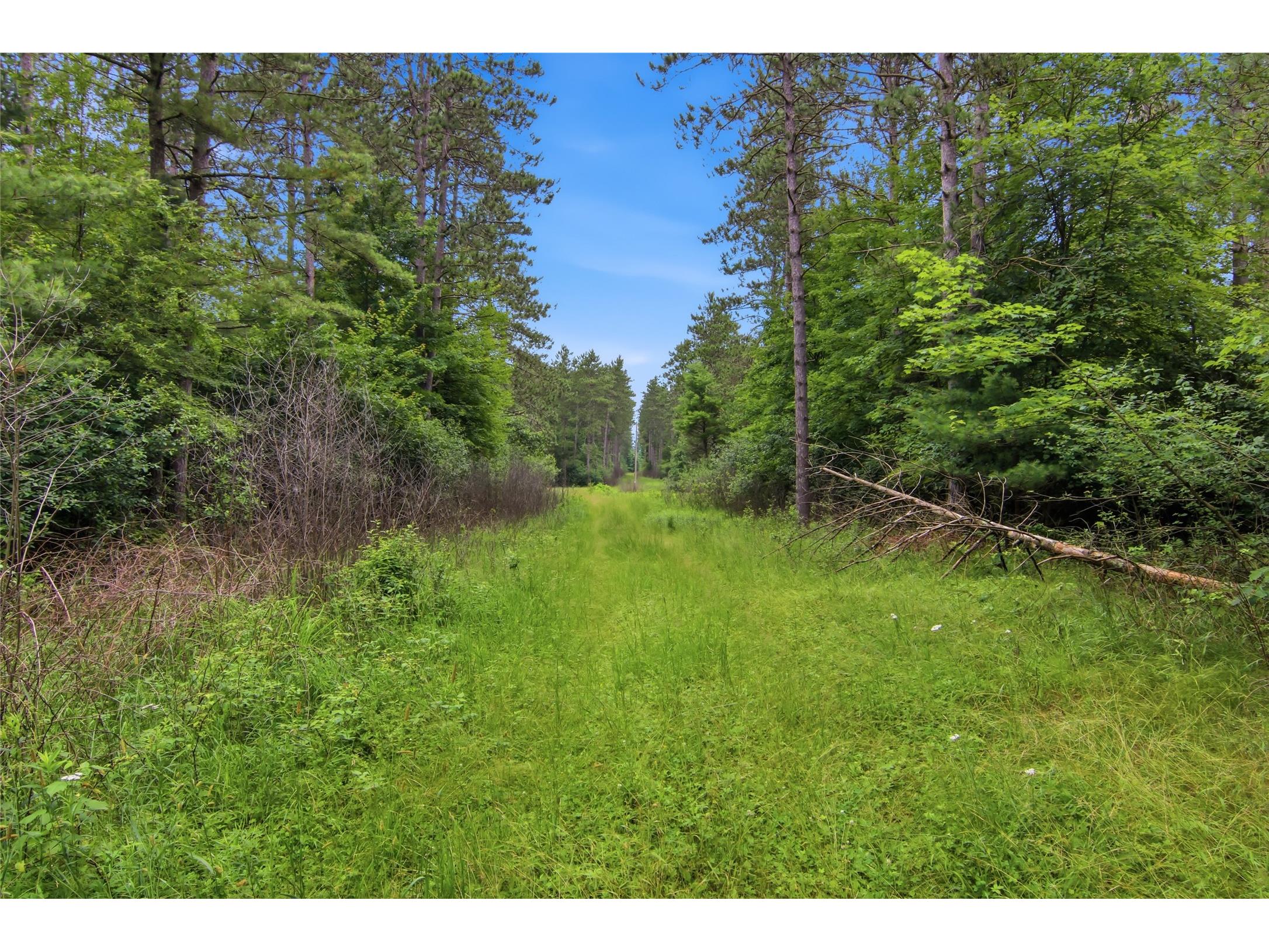 0 West Road Black River Falls WI 54615 - Halls Creek 1603057 image42