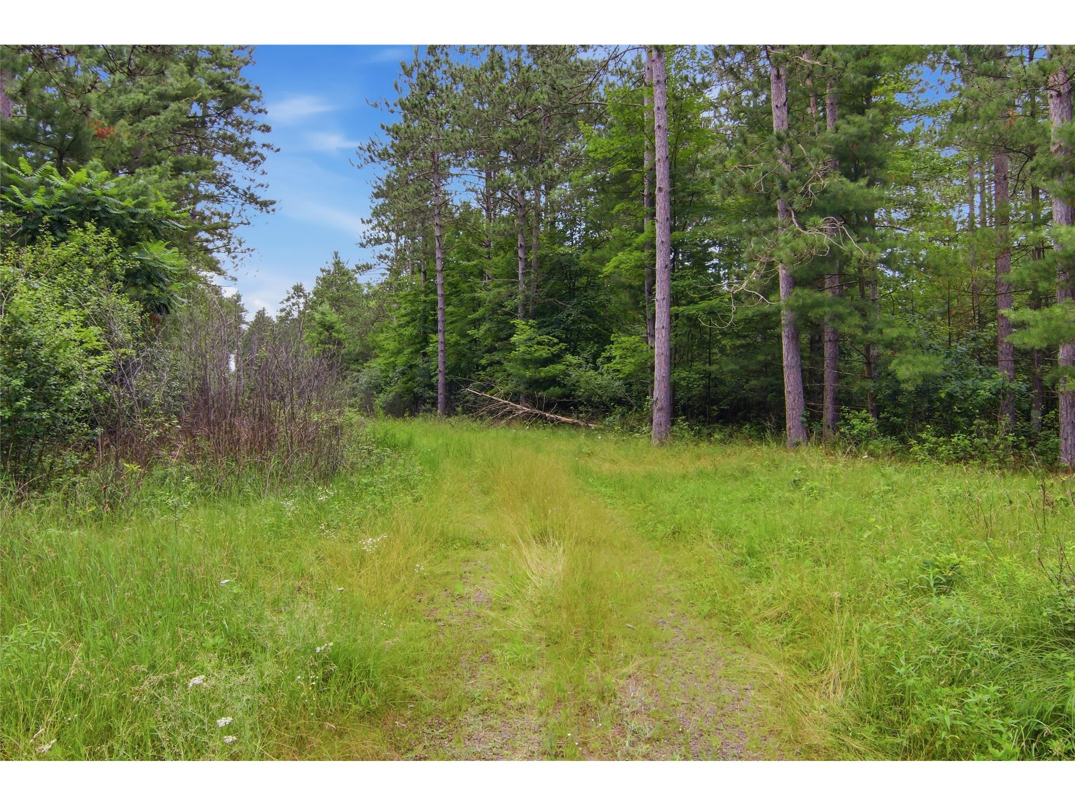 0 West Road Black River Falls WI 54615 - Halls Creek 1603057 image43