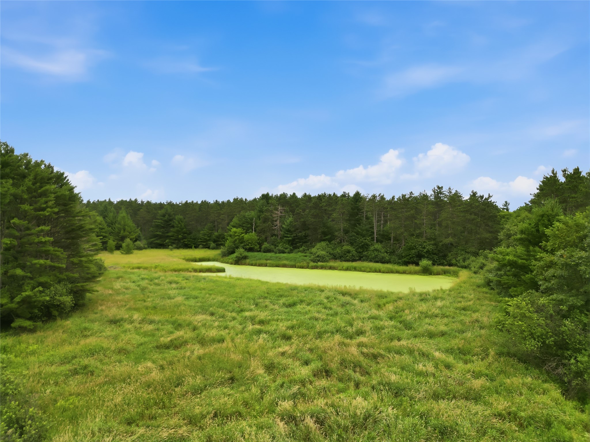 0 West Road Black River Falls WI 54615 - Halls Creek 1603057 image9
