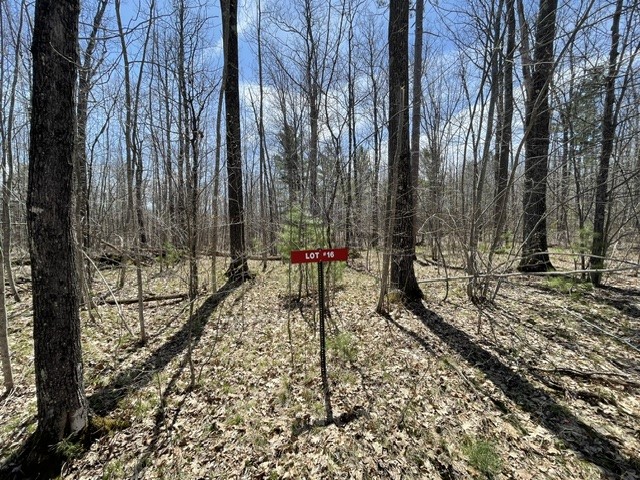0 White Oak Trail Hayward WI 54843 - OSPREY LAKE 1600678 image1