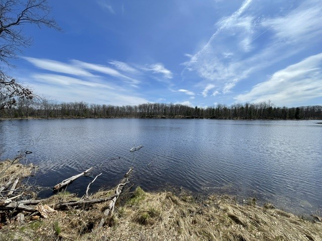 0 White Oak Trail Hayward WI 54843 - OSPREY LAKE 1600678 image10