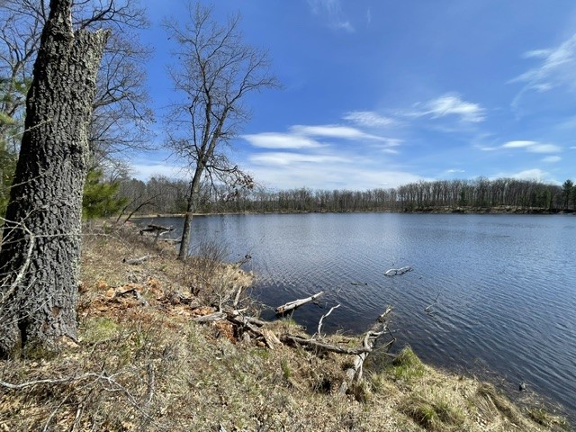 0 White Oak Trail Hayward WI 54843 - OSPREY LAKE 1600678 image11