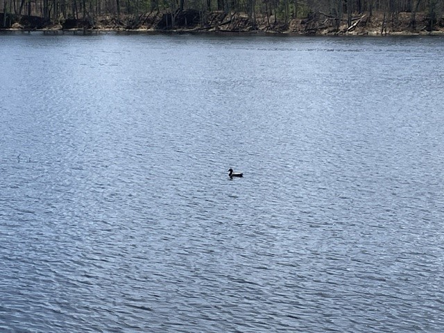 0 White Oak Trail Hayward WI 54843 - OSPREY LAKE 1600678 image19