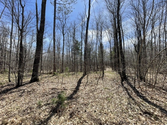 0 White Oak Trail Hayward WI 54843 - OSPREY LAKE 1600678 image3