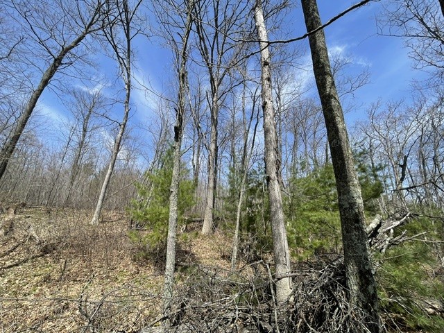 0 White Oak Trail Hayward WI 54843 - OSPREY LAKE 1600678 image5