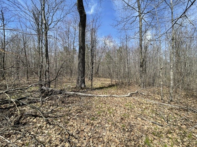 0 White Oak Trail Hayward WI 54843 - OSPREY LAKE 1600678 image6