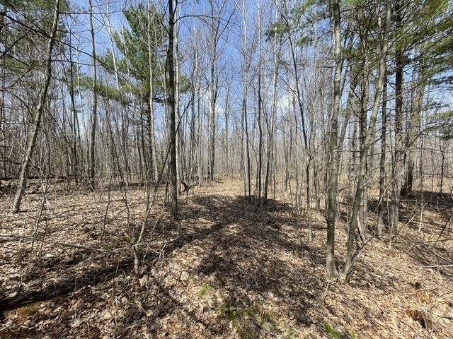 0 White Oak Trail Hayward WI 54843 - OSPREY LAKE 1600678 image7