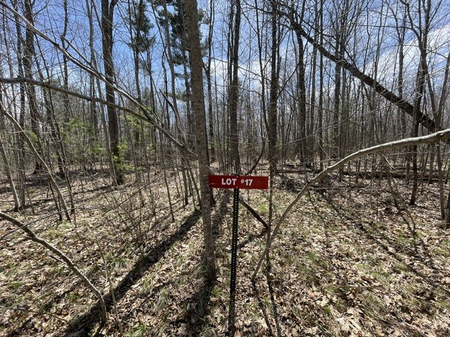 0 White Oak Trail Hayward WI 54843 - OSPREY LAKE 1600680 image1