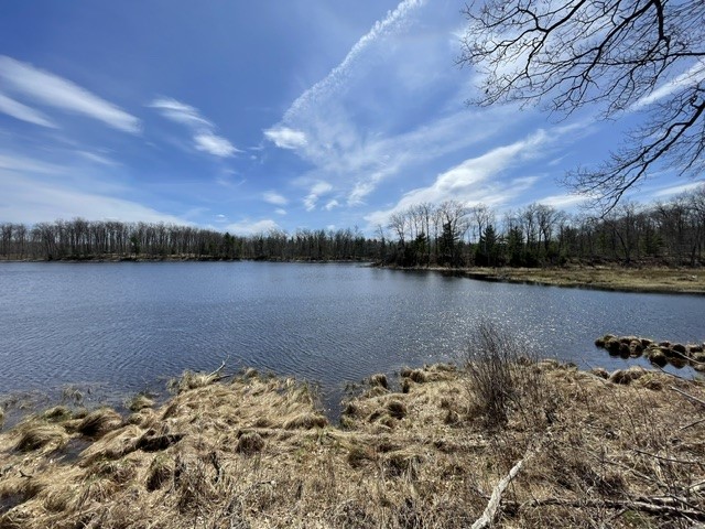 0 White Oak Trail Hayward WI 54843 - OSPREY LAKE 1600680 image10