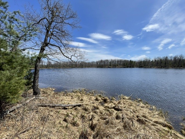 0 White Oak Trail Hayward WI 54843 - OSPREY LAKE 1600680 image11