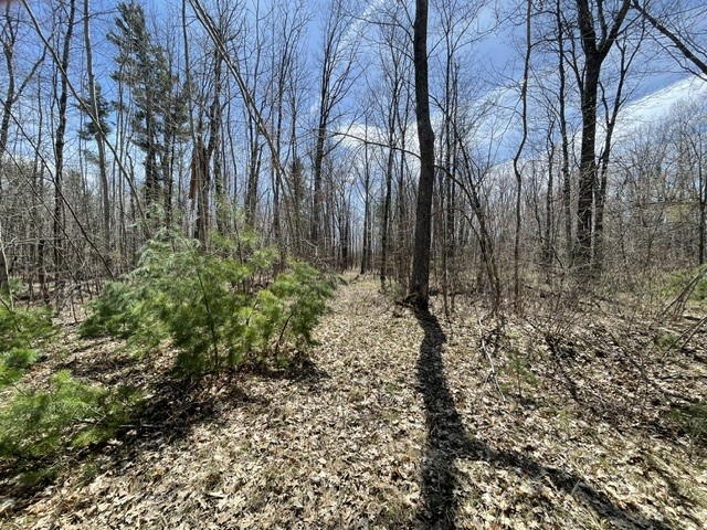 0 White Oak Trail Hayward WI 54843 - OSPREY LAKE 1600680 image4