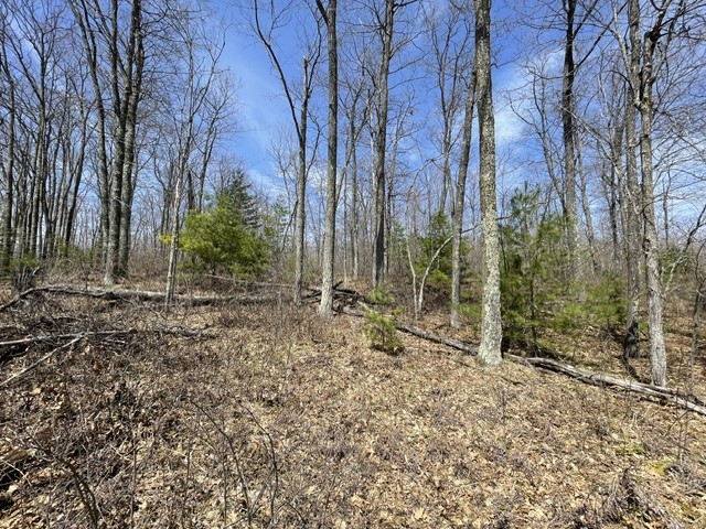 0 White Oak Trail Hayward WI 54843 - OSPREY LAKE 1600680 image5
