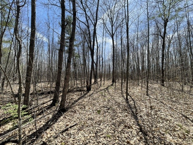 0 White Oak Trail Hayward WI 54843 - OSPREY LAKE 1600680 image6