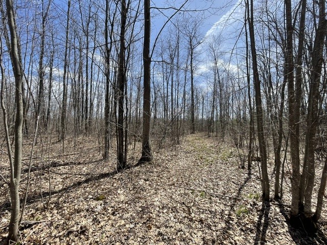 0 White Oak Trail Hayward WI 54843 - OSPREY LAKE 1600680 image7