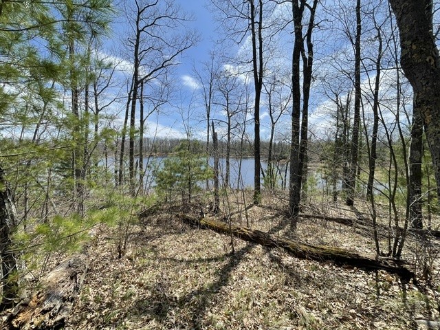 0 White Oak Trail Hayward WI 54843 - OSPREY LAKE 1600680 image8