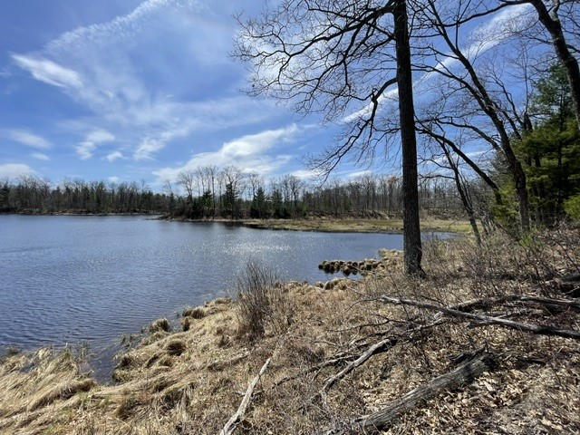 0 White Oak Trail Hayward WI 54843 - OSPREY LAKE 1600680 image9
