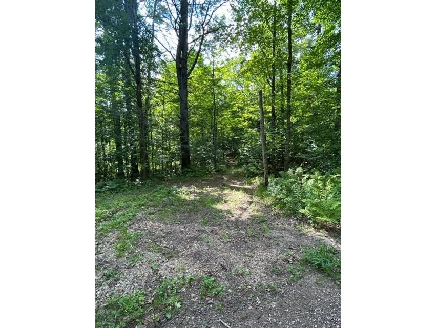 0 Wild Wood Lane Birchwood WI 54817 1575534 image1