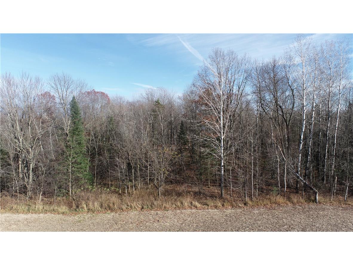 0 Willy Road Weyerhaeuser WI 54895 1596919 image10