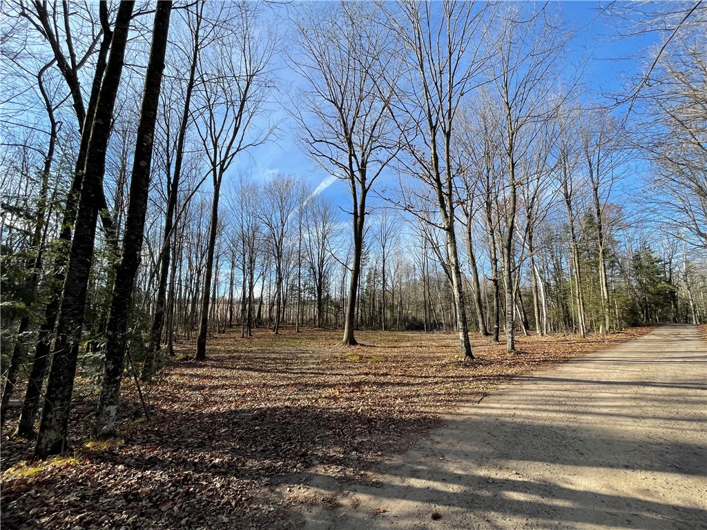 0 Willy Road Weyerhaeuser WI 54895 1596919 image2