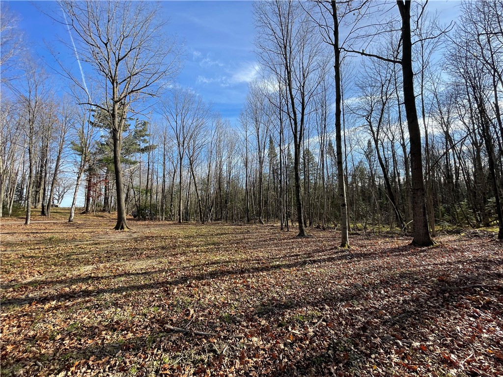 0 Willy Road Weyerhaeuser WI 54895 1596919 image3