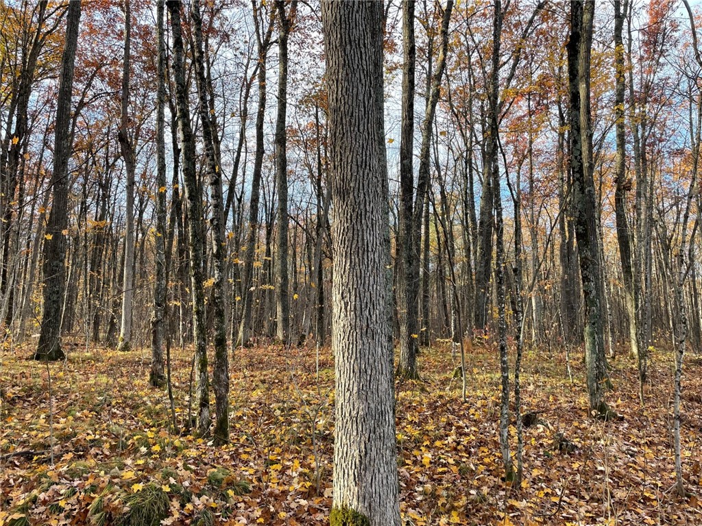 0 Woodale Road Birchwood WI 54817 1596735 image1