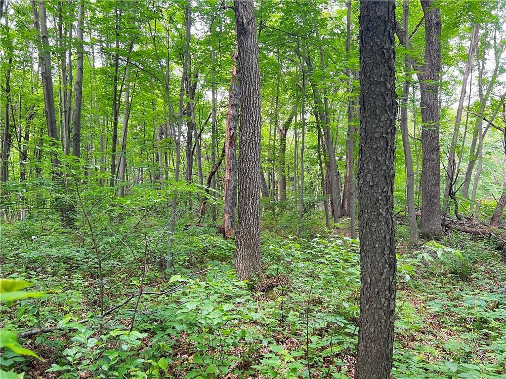 0 Woodland Drive Eau Claire WI 54701 1574970 image1