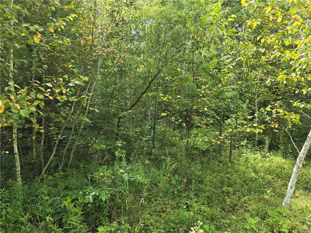 00 10 1/4 Avenue Chetek WI 54728 1594553 image3