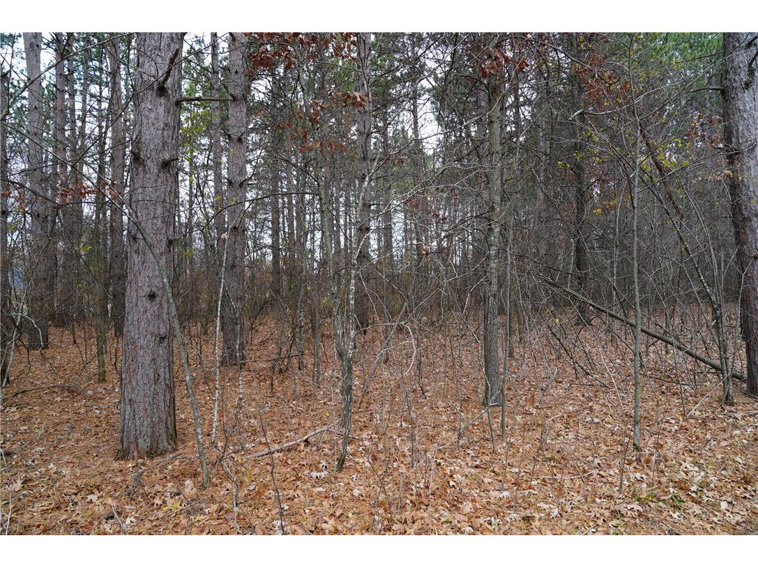  New Richmond WI 54017 - Willow River 1571355 image1