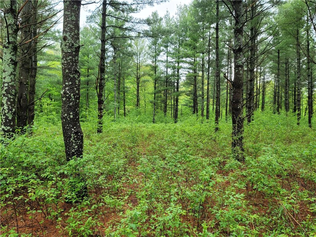 00 11 1/4 Avenue Cameron WI 54822 - Prairie 1553820 image1