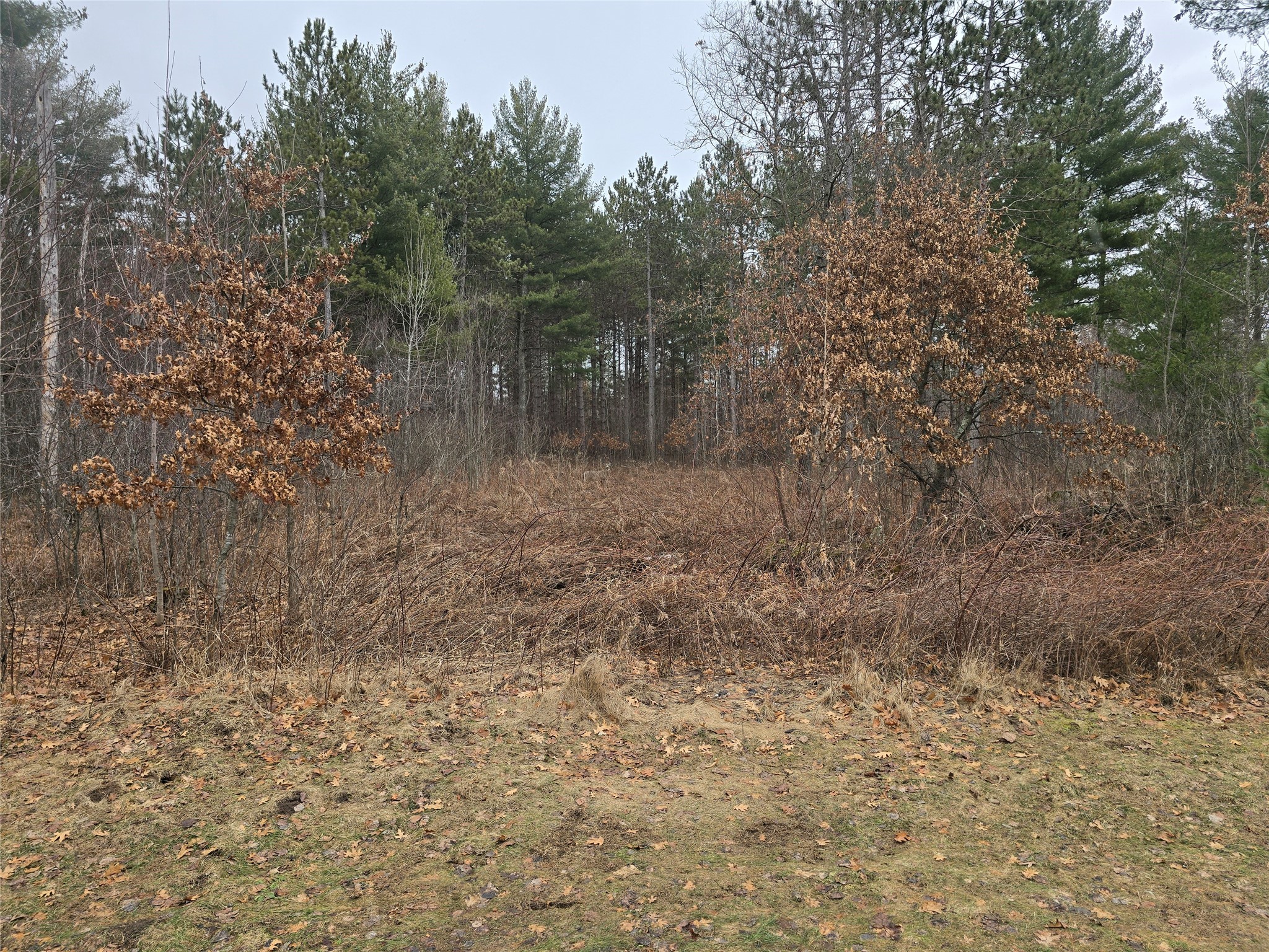 00 11 1/4 Avenue Cameron WI 54822 - Prairie 1599093 image4