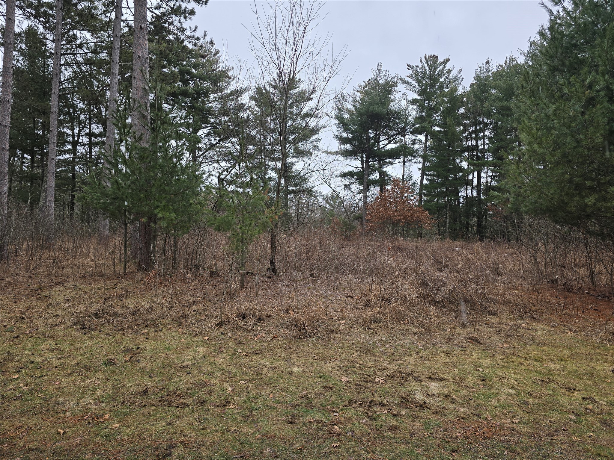00 11 3/8 Avenue Cameron WI 54822 - Prairie 1599071 image4