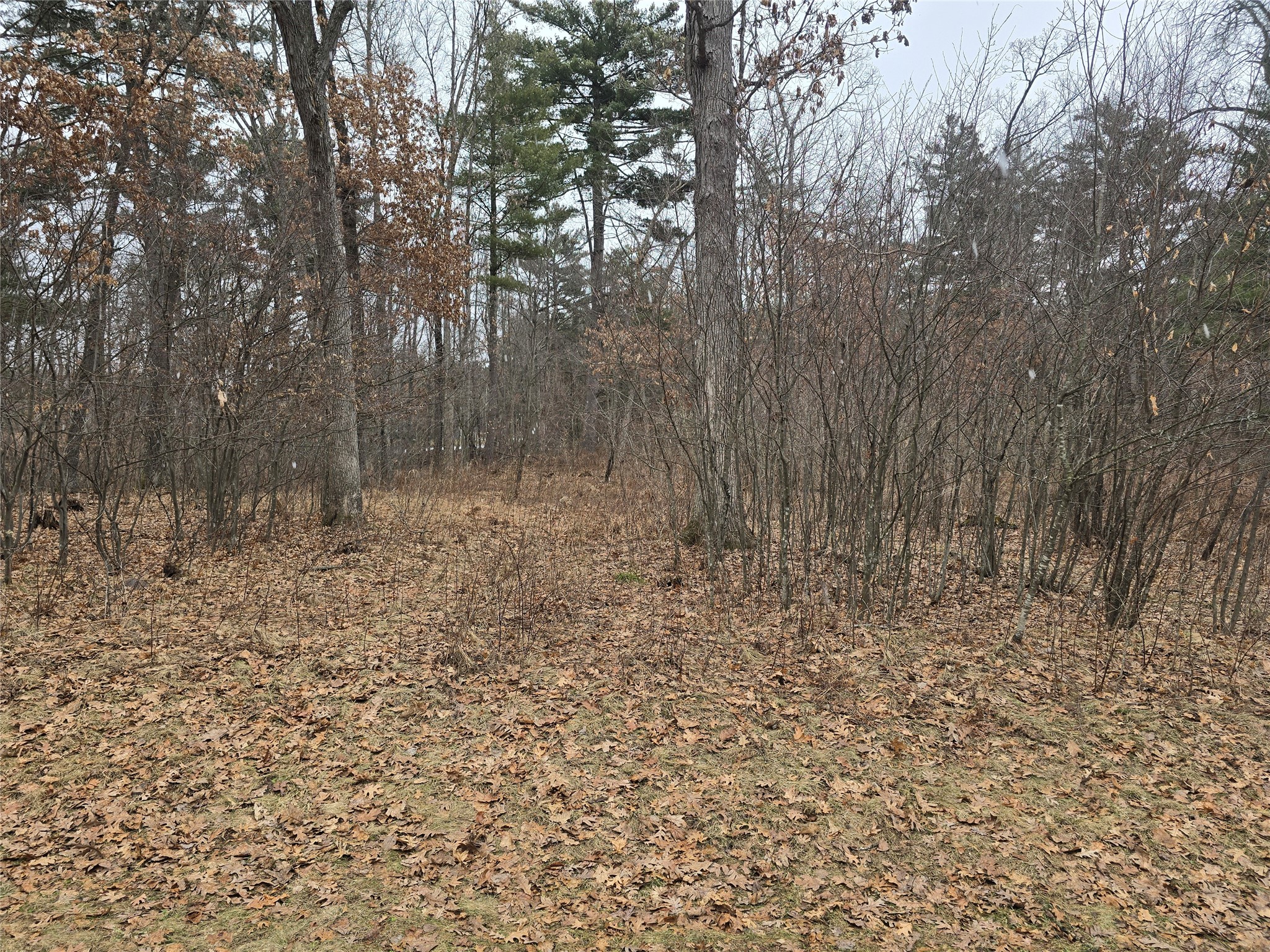 00 11 3/8 Avenue Cameron WI 54822 - Prairie 1599097 image4