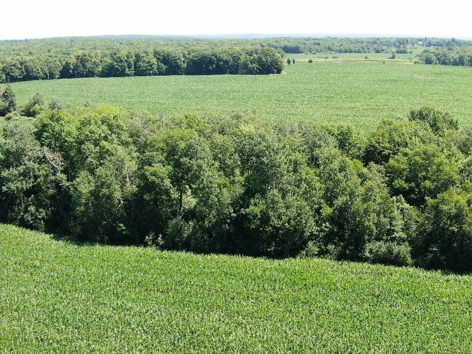 00 110th Street Frederic WI 54837 1603088 image6