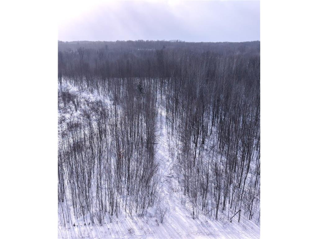 00 155th Ave Boyd WI 54726 1598015 image1