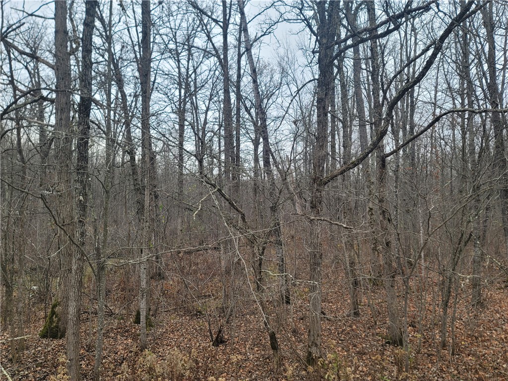 00 15th Avenue Cameron WI 54822 - German Lake 1587325 image3