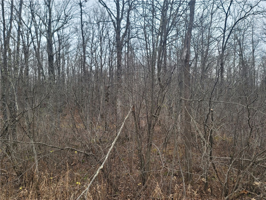 00 15th Avenue Cameron WI 54822 - German Lake 1587325 image4