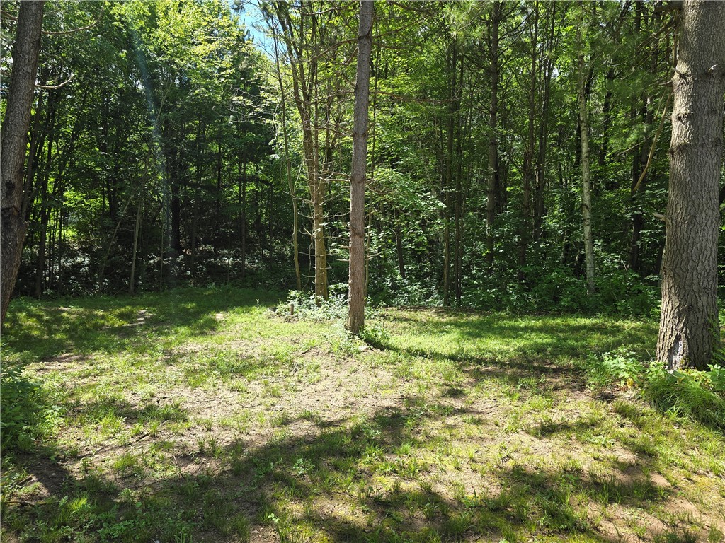 00 15th Avenue Cameron WI 54822 1593618 image8