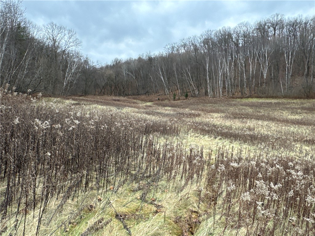 00 250th St. Prairie Farm WI 54762 1595324 image1