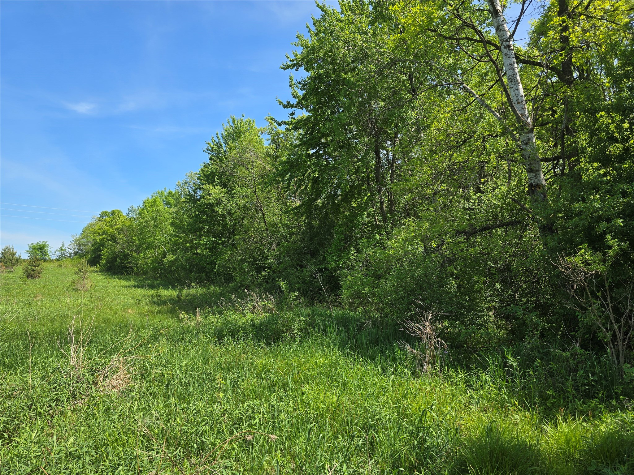00 27th Street Chetek WI 54728 1601698 image4