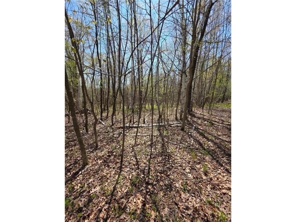 00 4th Clayton WI 54004 1591468 image12