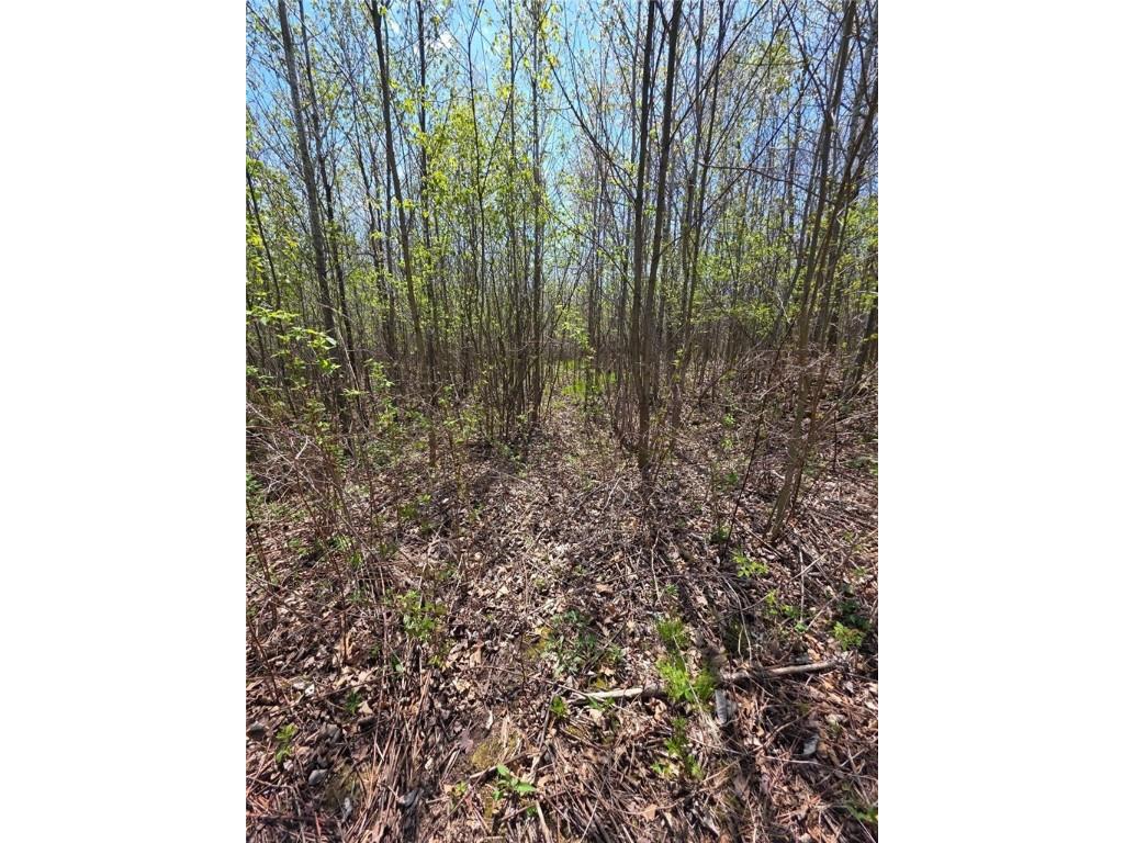 00 4th Clayton WI 54004 1591468 image15