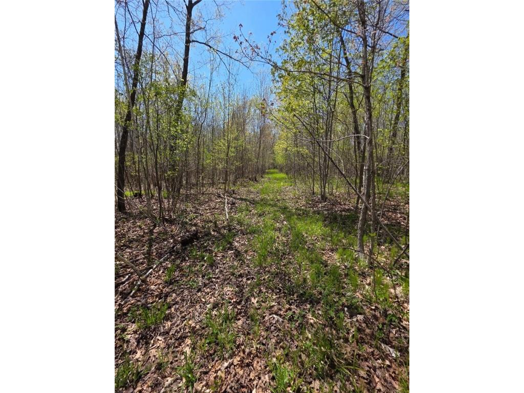 00 4th Clayton WI 54004 1591468 image16