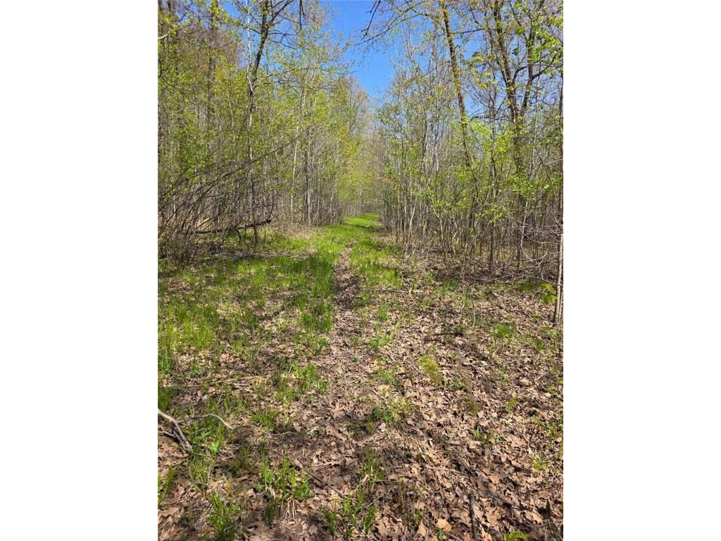 00 4th Clayton WI 54004 1591468 image18