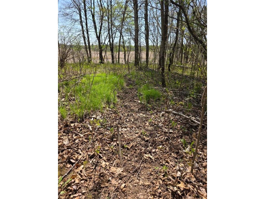 00 4th Clayton WI 54004 1591468 image19