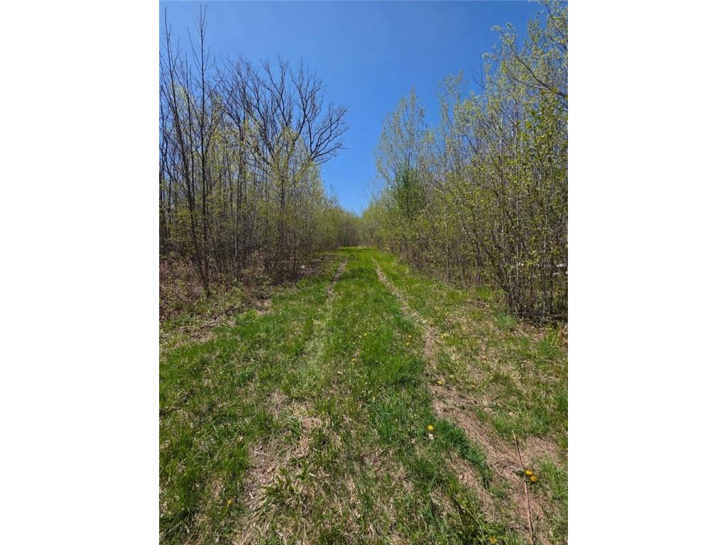 00 4th Clayton WI 54004 1591468 image3